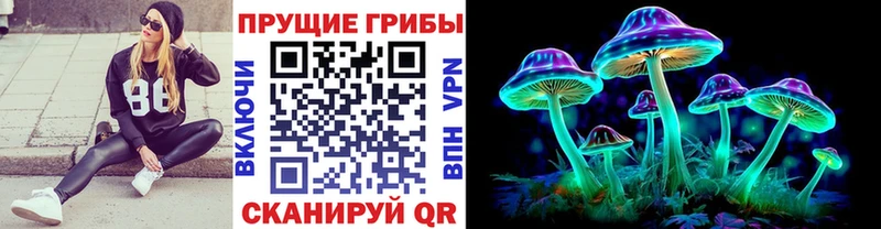 Купить где  Кирово-Чепецк  Псилоцибиновые грибы MAGIC MUSHROOMS 